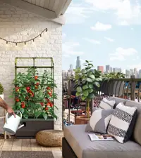 Anbaukasten Cityjungle mit Spalier
