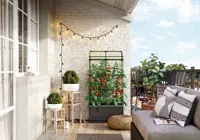 Anbaukasten Cityjungle mit Spalier