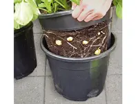 Kartoffeltopf