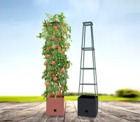 Tomatenturm