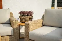 Zinnia Rottingsofa