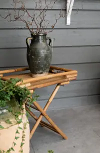Juniper Bartisch