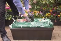 Selbstbewässernde Kapillarbox