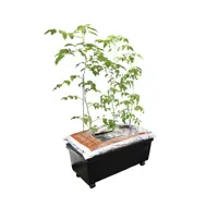 Selbstbewässernde Kapillarbox