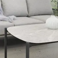 Dandelion Couchtisch