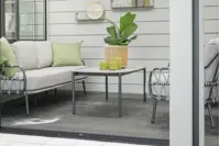 Dandelion Couchtisch