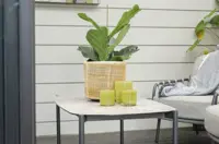 Dandelion Couchtisch