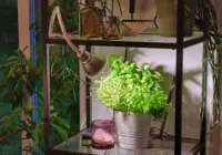 Pflanzenlampe Flexia