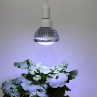 Pflanzenlampe Winter