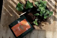 BOOST Trichoderma