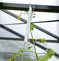 Tomatenhaken