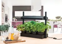 Pflanzenbeleuchtung Micro