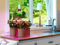 Pflanzenlampe Odla