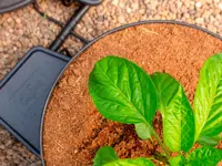 GoGro 15 L