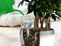 Bewässerungssystem Hydro Bloom