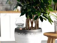 Bewässerungssystem Hydro Bloom
