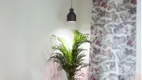 Pflanzenlampe Standard