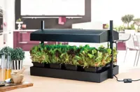 Anzuchtbeleuchtung LED