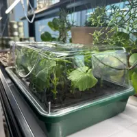 ROOT!T Minigewächshaus komplett