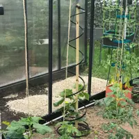 Rank-o-twist für Tomatenpflanzen