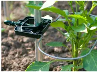 Rank-o-flex für Tomatenpflanzen