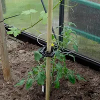 Rank-o-flex für Tomatenpflanzen