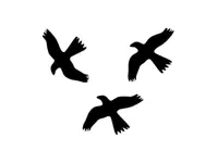 Flax Fensterdekoration Raubvogel, Mix